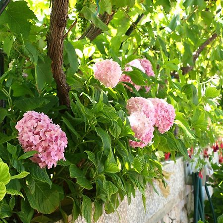 مالي لوشينغْ Alaburic Rooms & Apartment المظهر الخارجي الصورة