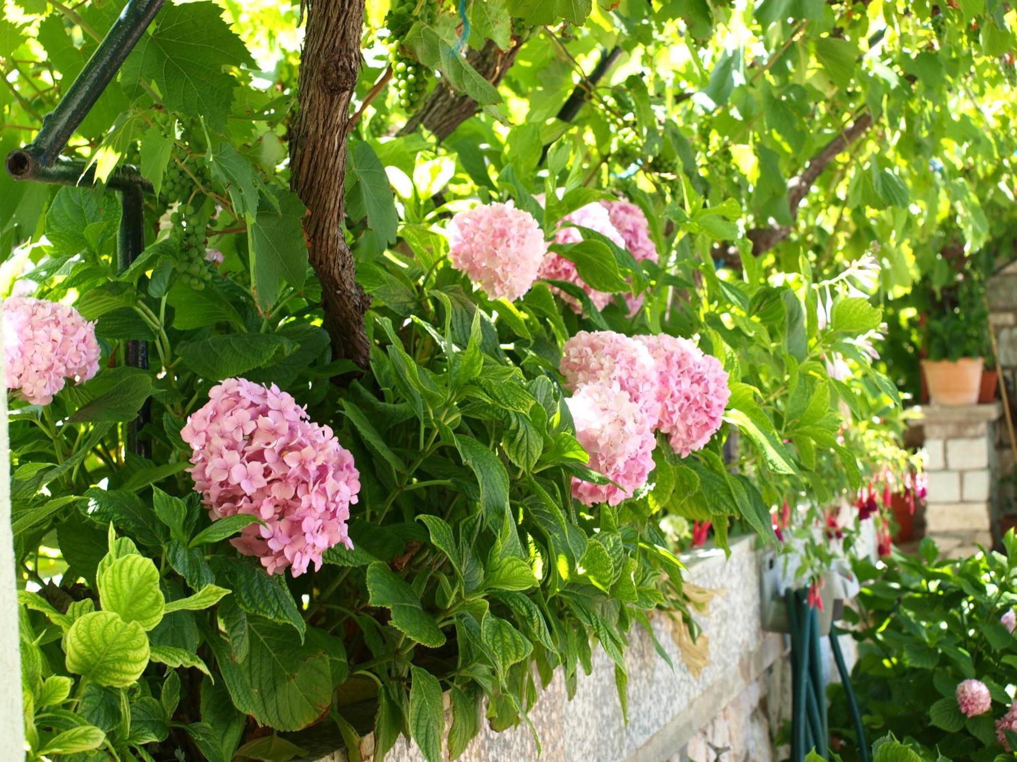 مالي لوشينغْ Alaburic Rooms & Apartment المظهر الخارجي الصورة